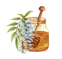 Miel d'acacia
